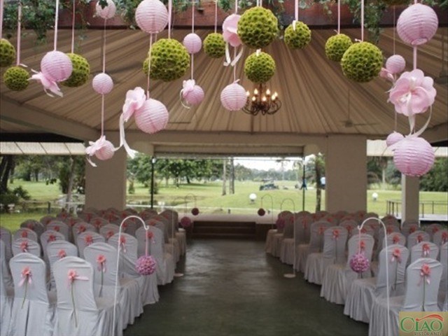 Canopy - 1